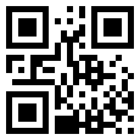 Номер 25313607 QR-код