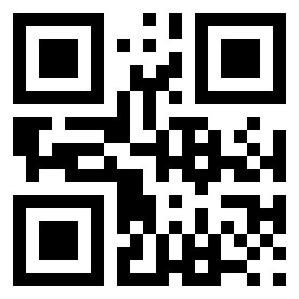 Номер 29100556 QR-код