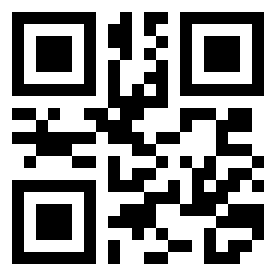 Номер 300763 QR-код