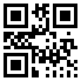 Номер 333334 QR-код