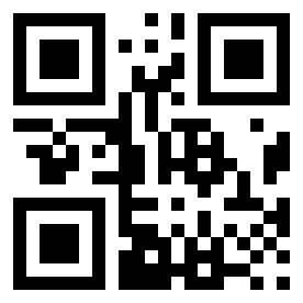 Номер 48741240 QR-код