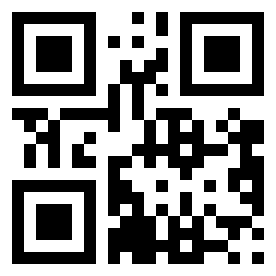 Номер 58201113 QR-код