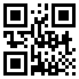 Номер 9256110 QR-код